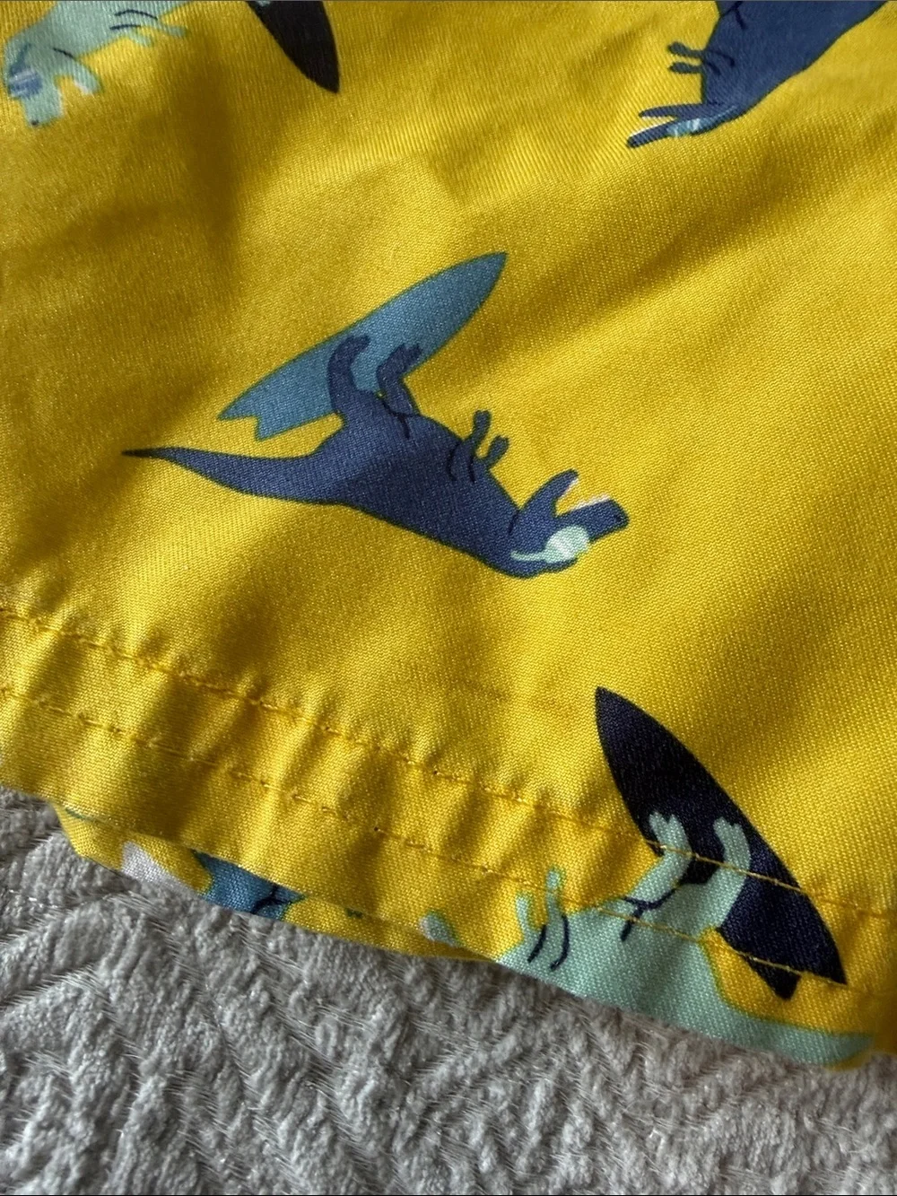 Cat & Jack 4T Dino swim trunks bundle